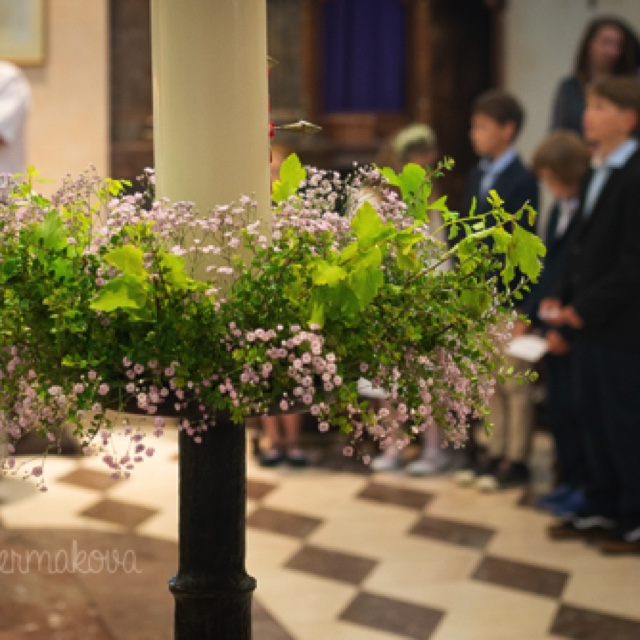 bile pozadi-0048.jpeg bile pozadi-0048.jpeg